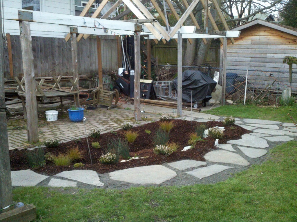 Steve's rain garden just after installation.