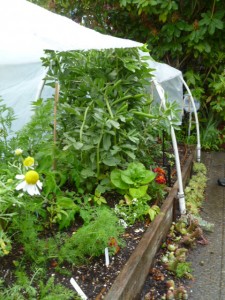 egt12 hoophouse