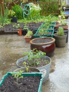 egt12 mixed pots