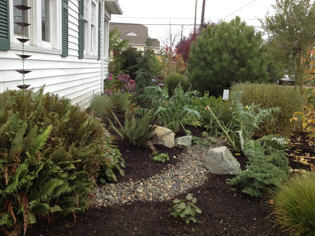 RainWise contractor Nancy Fasoldt integrated the rain garden into her design for the whole yard. Note the rain chain as downspout!