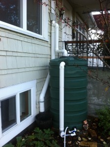 Tom hopes someday to connect the rainwater storage to greywater uses like the toilets and washing machine.