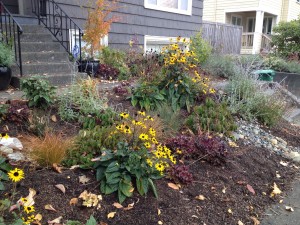 The garden is quite colorful, even in November.