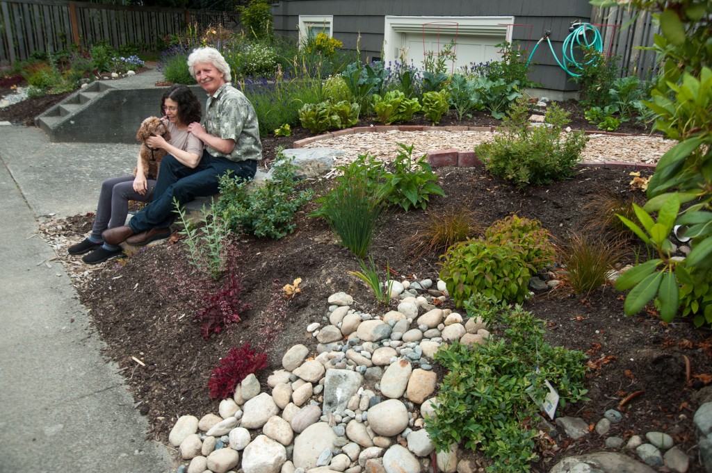 Marlene & John's two rain gardens flank the driveway and fill a good portion of the front yard.