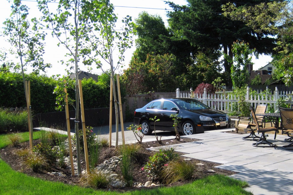 This rain garden serves several functions in the design of the backyard landscape, in addition to fulfilling its RainWise duties!