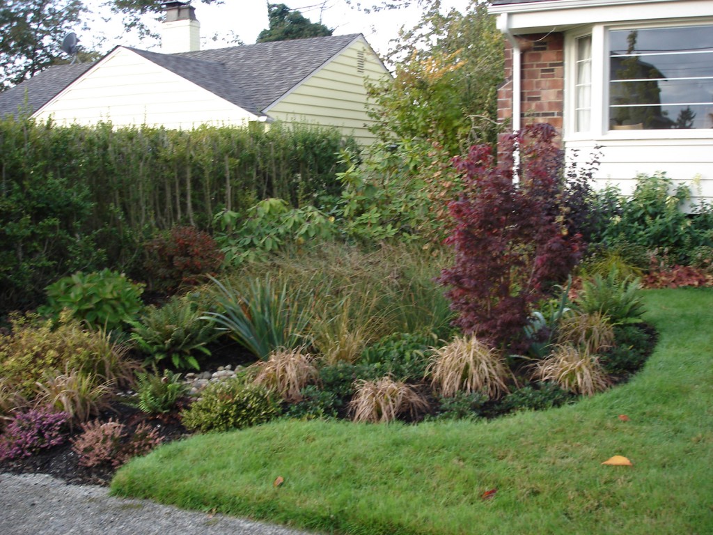 This rain garden enhances Liz and Peter's front yard.