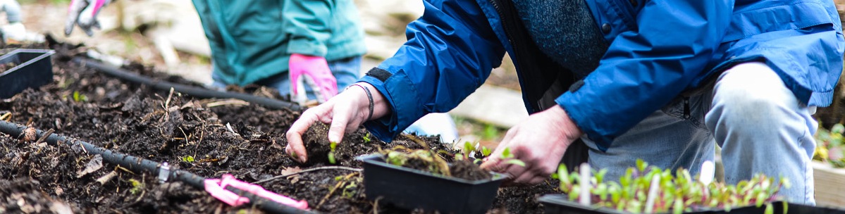 Ballard Sprouts Program Grows Generously