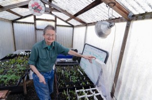 In the Greenhouse