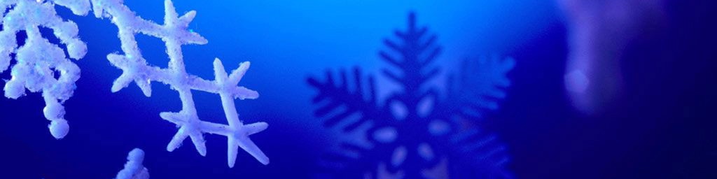 Barter Fair and Holiday Party December 8