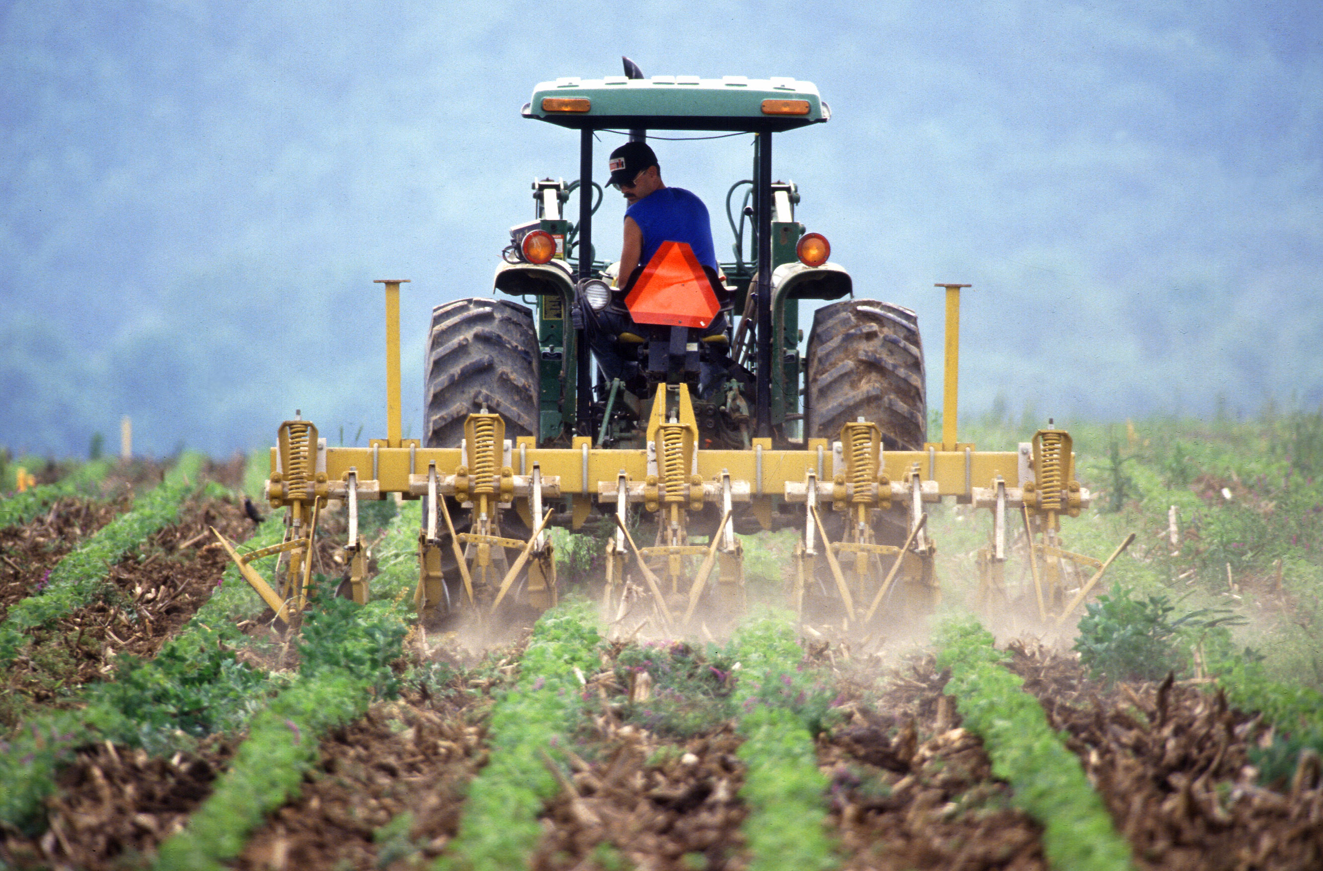 The Good, the Bad and the Ugly in the Farm Bill