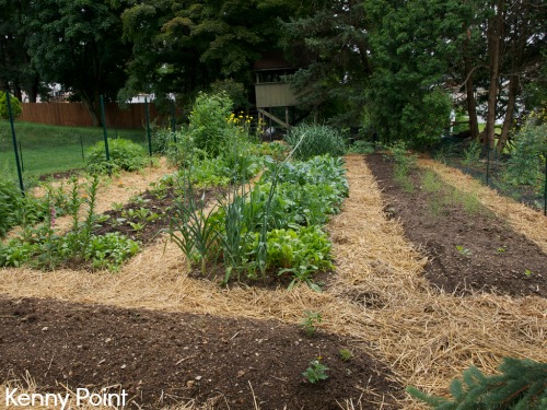 Intensive Vegetable Gardening Class – Apr 19