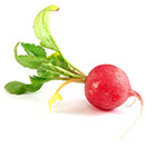 Your Very Own Garden Workshop for Kids – Mar 22