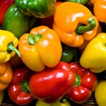 Seminar: Warm Weather Vegetables – May 24