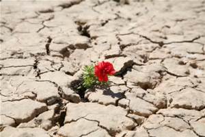 The PNW Resilience Challenge 2014 – Summit Oct 2