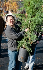 Trees for Neighborhoods – Apply by Oct 10