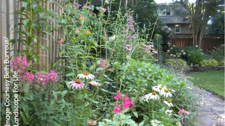UW Botanic Gardens: Landscape for Life – Sustainable Home Gardening – Begins Sept 25
