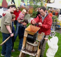 @ the FESTIVAL! – Hands-on Harvest