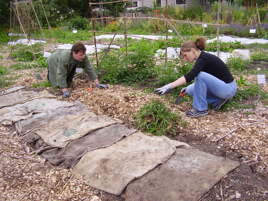 Seattle Tilth Put Your Garden to Bed Oct 10 sustainable BALLARD