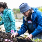 seedplanting