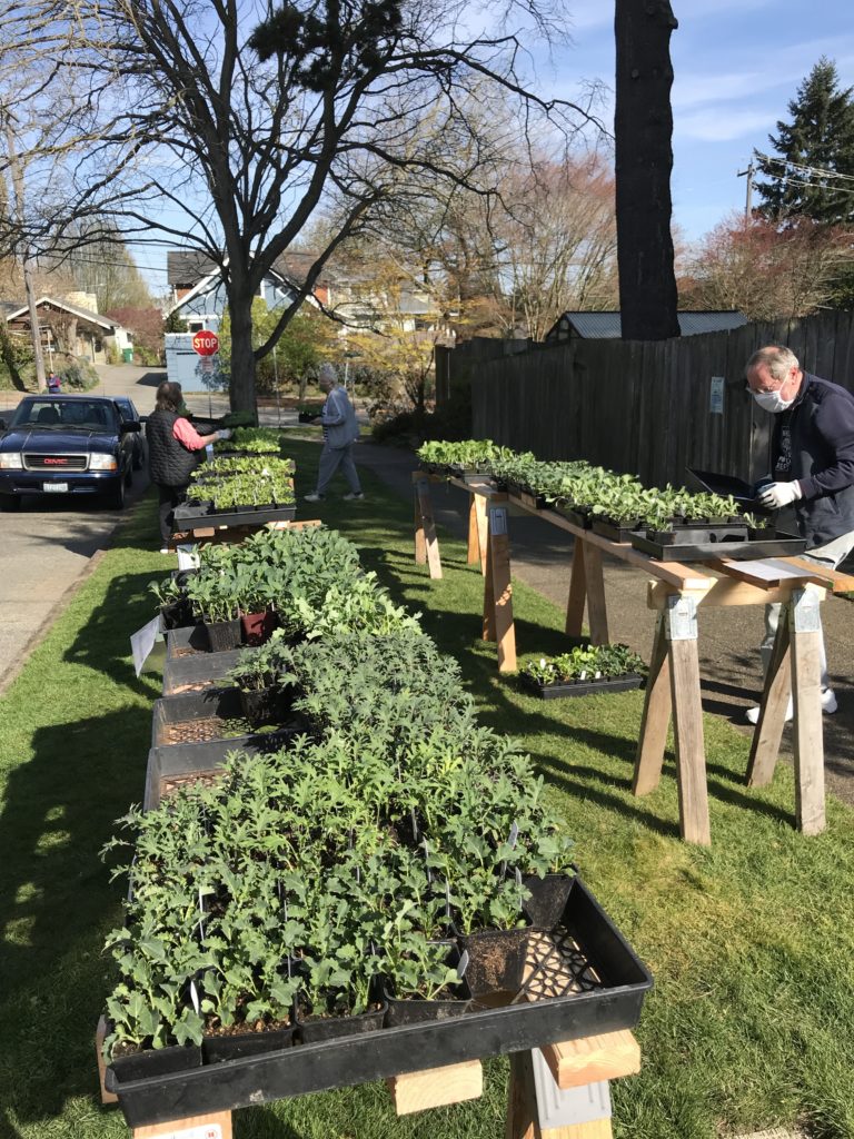 Ballard Sprouts – sustainable BALLARD