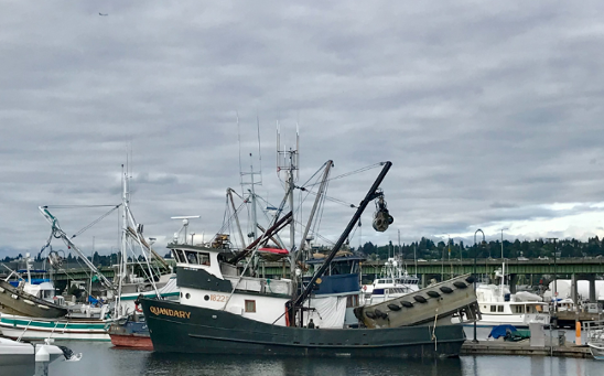 Ballard Seafood Festival Returns for it’s 47th Year!