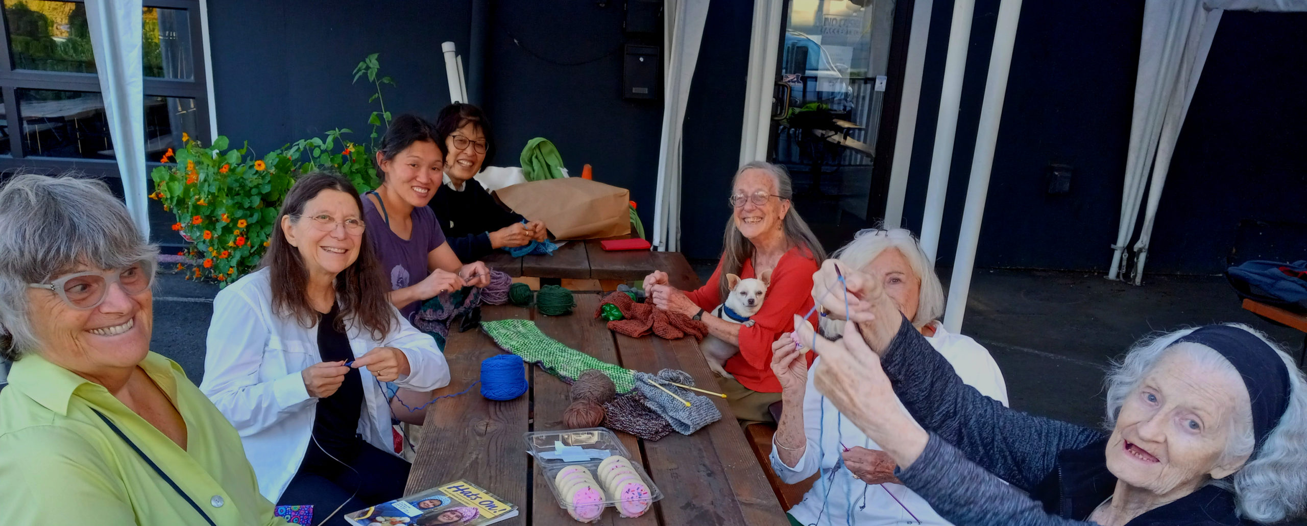 Our Volunteers are Amazing!