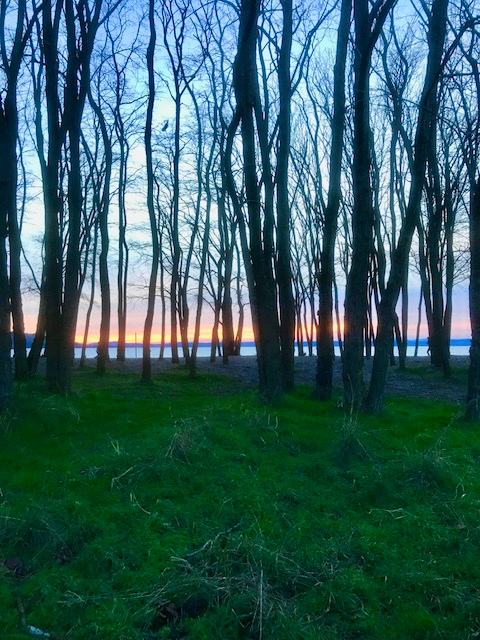 Happy Winter Solstice!