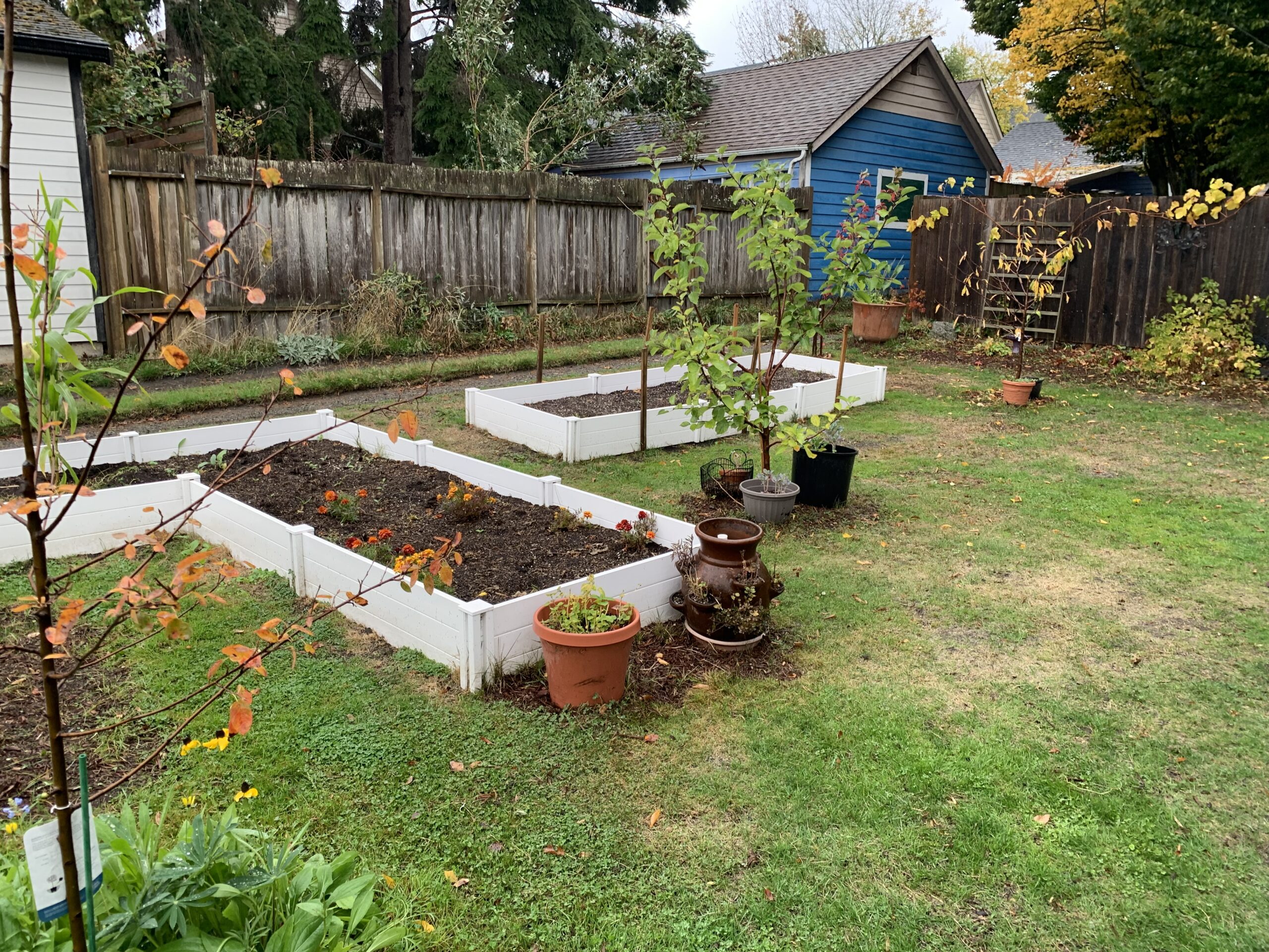 Ballard Giving Garden Work Party this Saturday